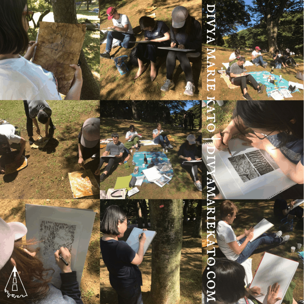 Drawing on Nature Recap Drawing on Nature Recap